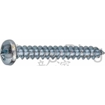 Fasteners螺絲尼龍壁虎 , 彰濱企業有限公司