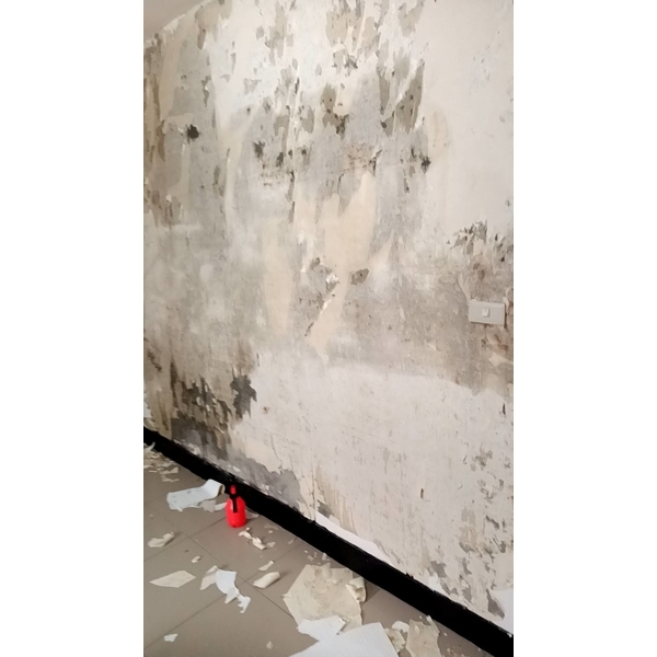 壁紙拆除,中樺油漆工程行