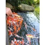 居家環境清潔 - 好愛潔房屋清潔行