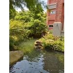 居家環境清潔 - 好愛潔房屋清潔行