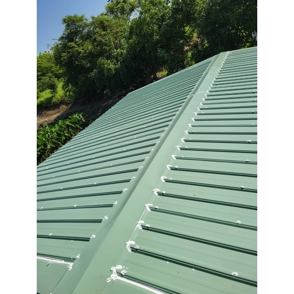 鐵皮屋頂新建-大廣億工程行