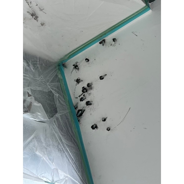 新竹防水工程實績｜湖口警察局牆壁灌注防水工程
