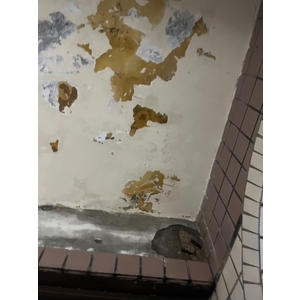 新竹防水工程實績｜湖口房屋壁癌防水工程