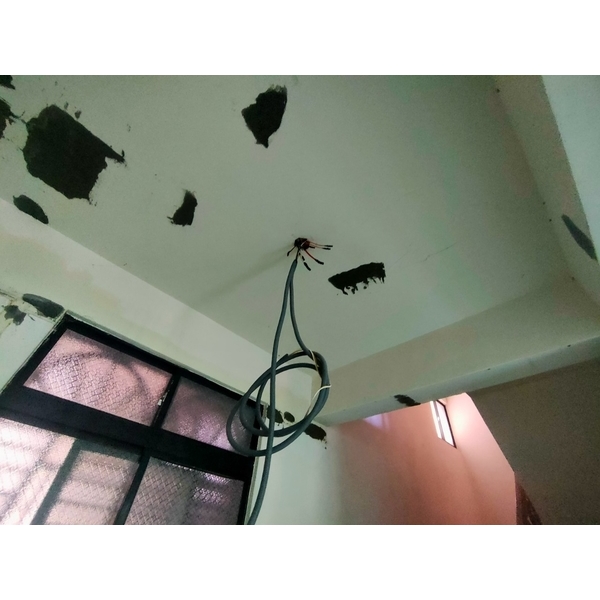 新竹防水工程實績｜新竹湖口房屋1樓室內防水工程-上承防水工程團隊