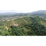 山坡地水土保持 - 久傳工程有限公司