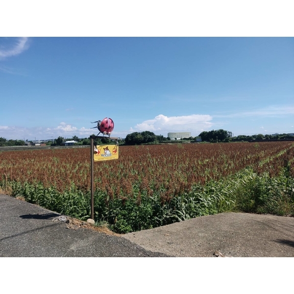 深藏在田中央的咖啡廳-那一間咖啡