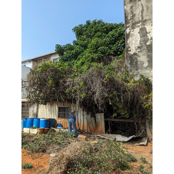 老屋翻修重建-佑美工程行