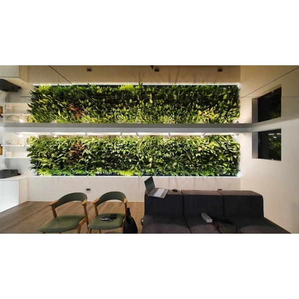 室內景觀植生牆
