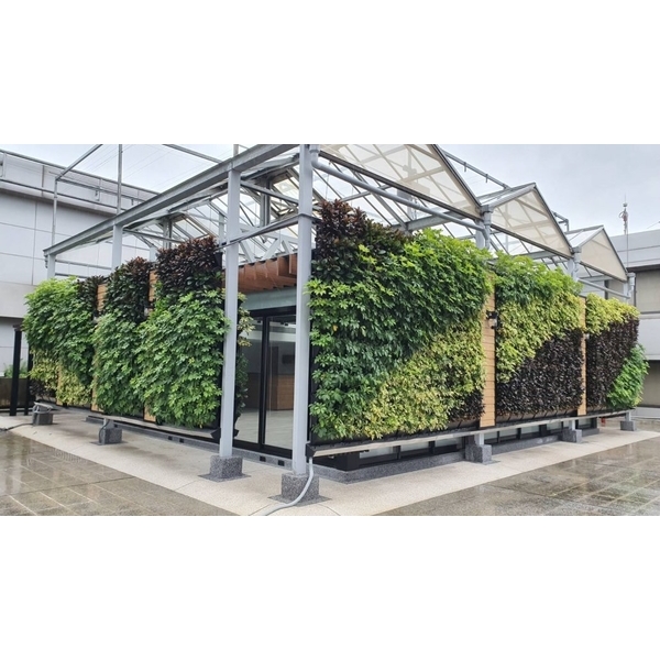 上市櫃公司屋頂玻璃屋植生牆