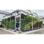 上市櫃公司屋頂玻璃屋植生牆