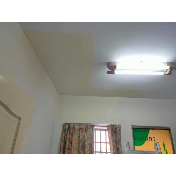 壁癌、管路修復,魔法屋油漆防水工程