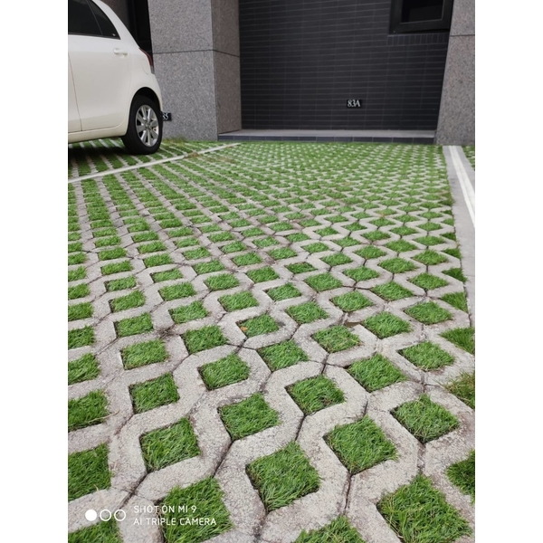 植草磚舖設工程