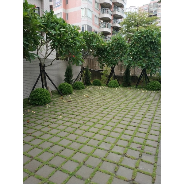 植草磚舖設工程