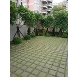 植草磚舖設工程 - 創懋企業有限公司