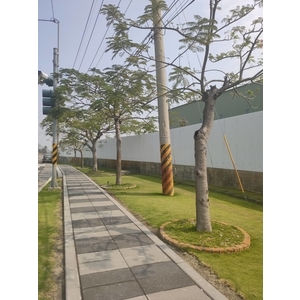 人行道舖面設計-平板磚(透水磚)