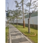 人行道舖面設計-平板磚(透水磚) - 創懋企業有限公司