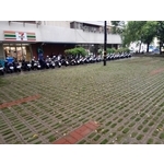 植草磚(2孔) - 創懋企業有限公司