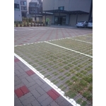 植草磚(2孔) - 創懋企業有限公司