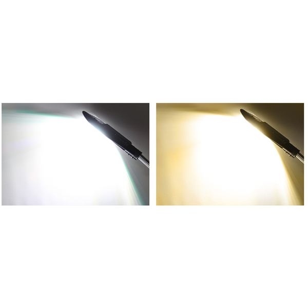 LED柳葉路燈-群鎂科技有限公司