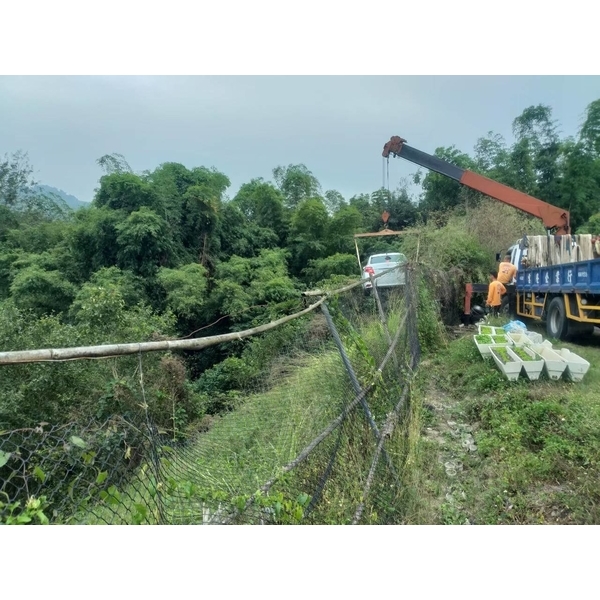 車禍現場吊車處理