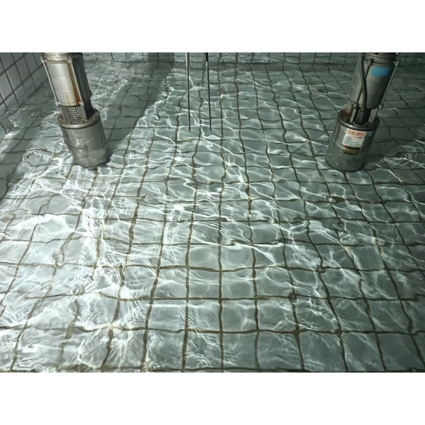 連鎖磚高壓沖洗跟水塔清洗