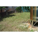 除草服務-正順清潔社