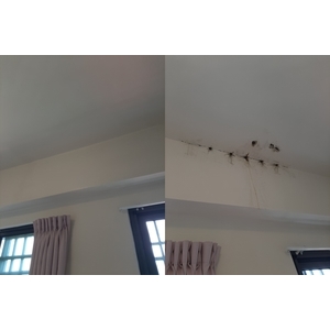 防水EPOXY高壓灌注抓漏 , 全成油漆工程行