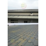 山上屋頂除鏽、噴防鏽紅丹漆、噴漆 , 全成油漆工程行