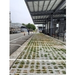 停車格劃線-全成油漆工程行