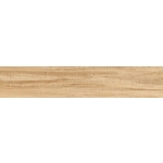 冠軍磁磚-豐隆建材行