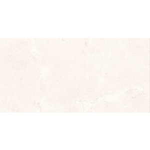 冠軍磁磚,豐隆建材行