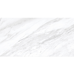 冠軍磁磚,豐隆建材行