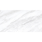 冠軍磁磚-豐隆建材行