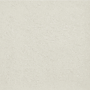 冠軍磁磚,豐隆建材行