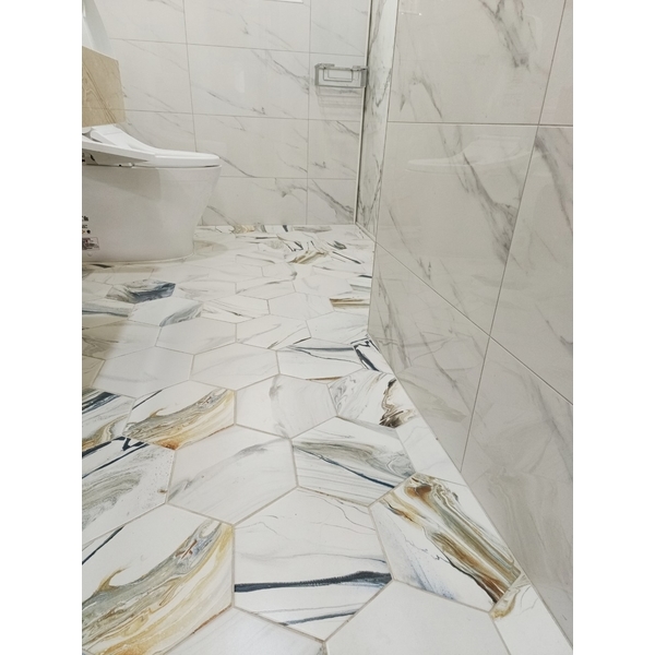 冠軍磁磚、西板牙磁磚－張先生住宅,豐隆建材行