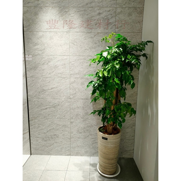 高雄展中,豐隆建材行