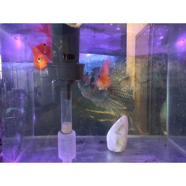 紫外線殺菌燈條室內應用,矽利康科技材料有限公司