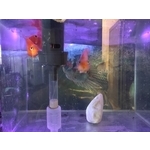 紫外線殺菌燈條室內應用 - 矽利康科技材料有限公司