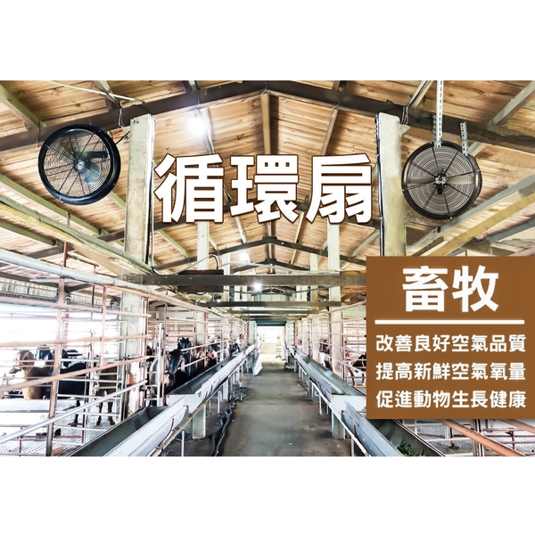 畜牧通風系統規劃安裝實例,綠陽能源環保有限公司