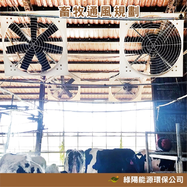 畜牧通風系統規劃安裝實例-綠陽能源環保有限公司