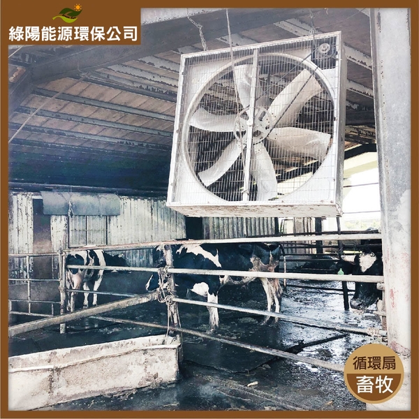 畜牧通風系統規劃安裝實例-綠陽能源環保有限公司