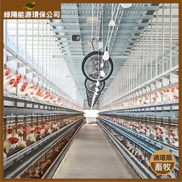 畜牧通風系統規劃安裝實例-綠陽能源環保有限公司
