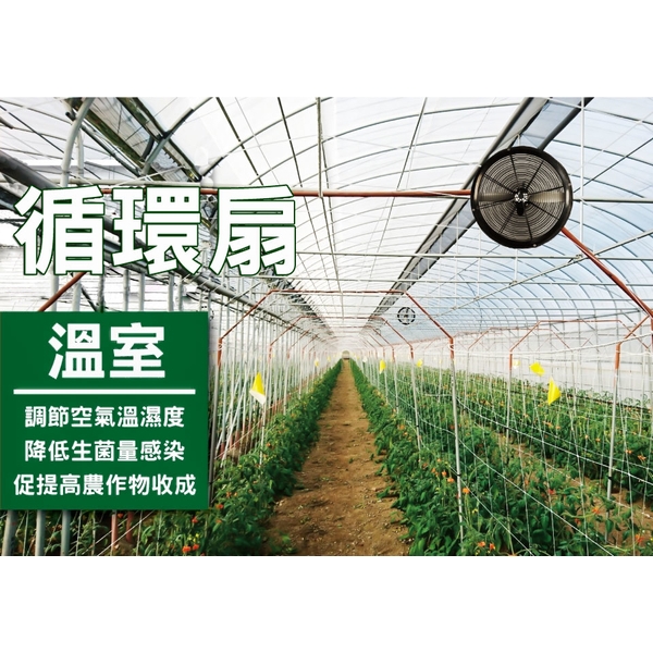 溫室通風系統規劃安裝實例,綠陽能源環保有限公司