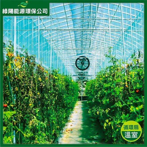 溫室通風系統規劃安裝實例-綠陽能源環保有限公司