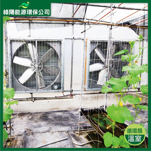 溫室通風系統規劃安裝實例-綠陽能源環保有限公司