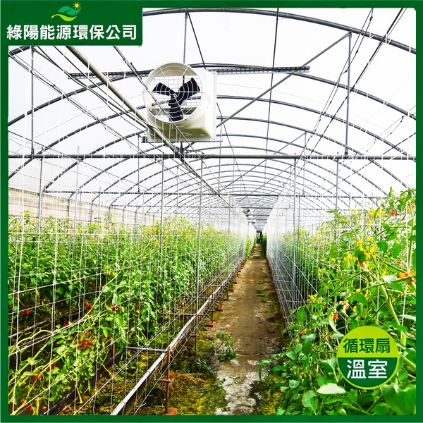 溫室通風系統規劃安裝實例-綠陽能源環保有限公司