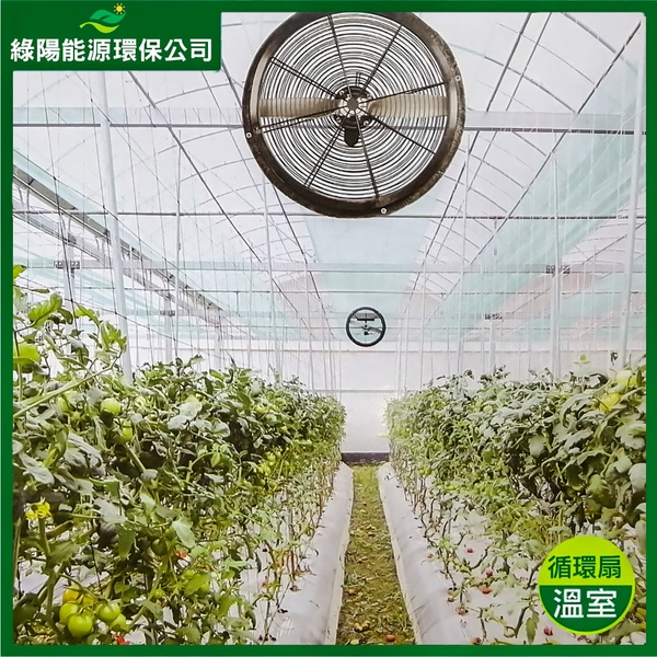 溫室通風系統規劃安裝實例-綠陽能源環保有限公司