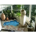 樓梯間造景 - 芳禾園園藝