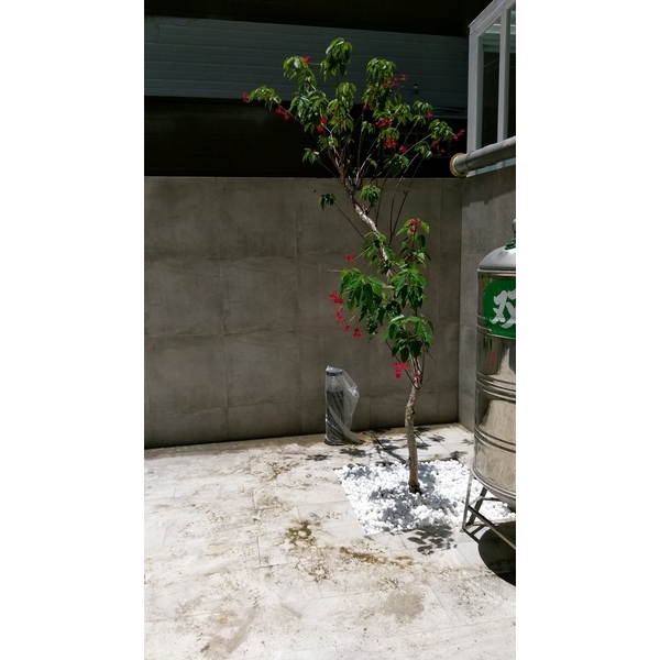 花圃整理 花圃整理-芳禾園園藝