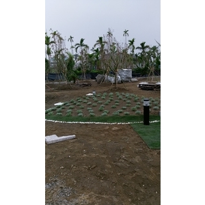 庭園造景施作中